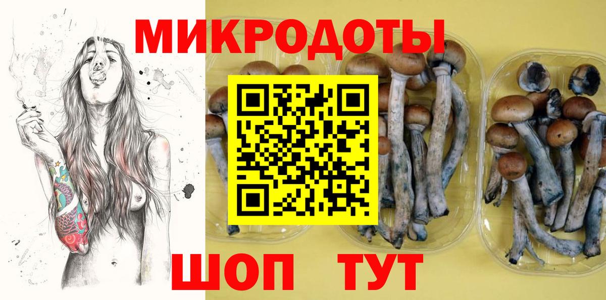 Галлюциногенные грибы MAGIC MUSHROOMS  Вход с VPN  Ростов-на-Дону 